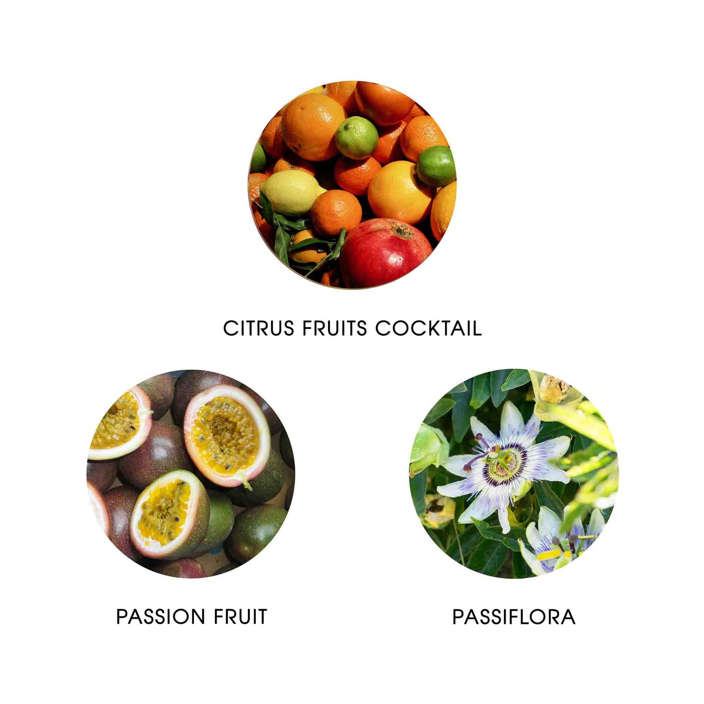 FiiLiT - SAUDADE AMAZONIA Eau de Parfum 11ml