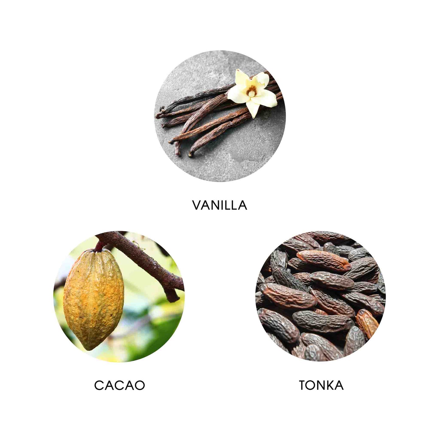 FiiLiT - REUNION Eau de Parfum 11ml-Holzetui