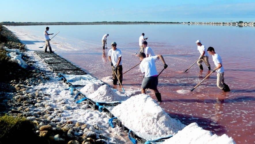 Atelier du Sel Camargue "Sel Fou"