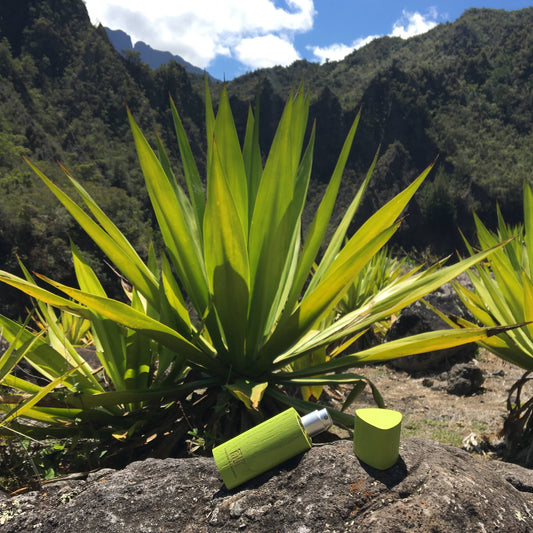 FiiLiT - SAUDADE AMAZONIA Eau de Parfum 11ml