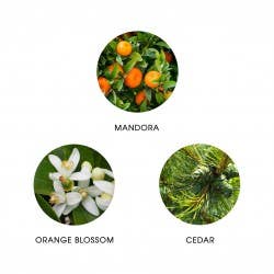 FiiLiT - MAZHAR ATLAS Eau de Parfum 11ml-Holzetui