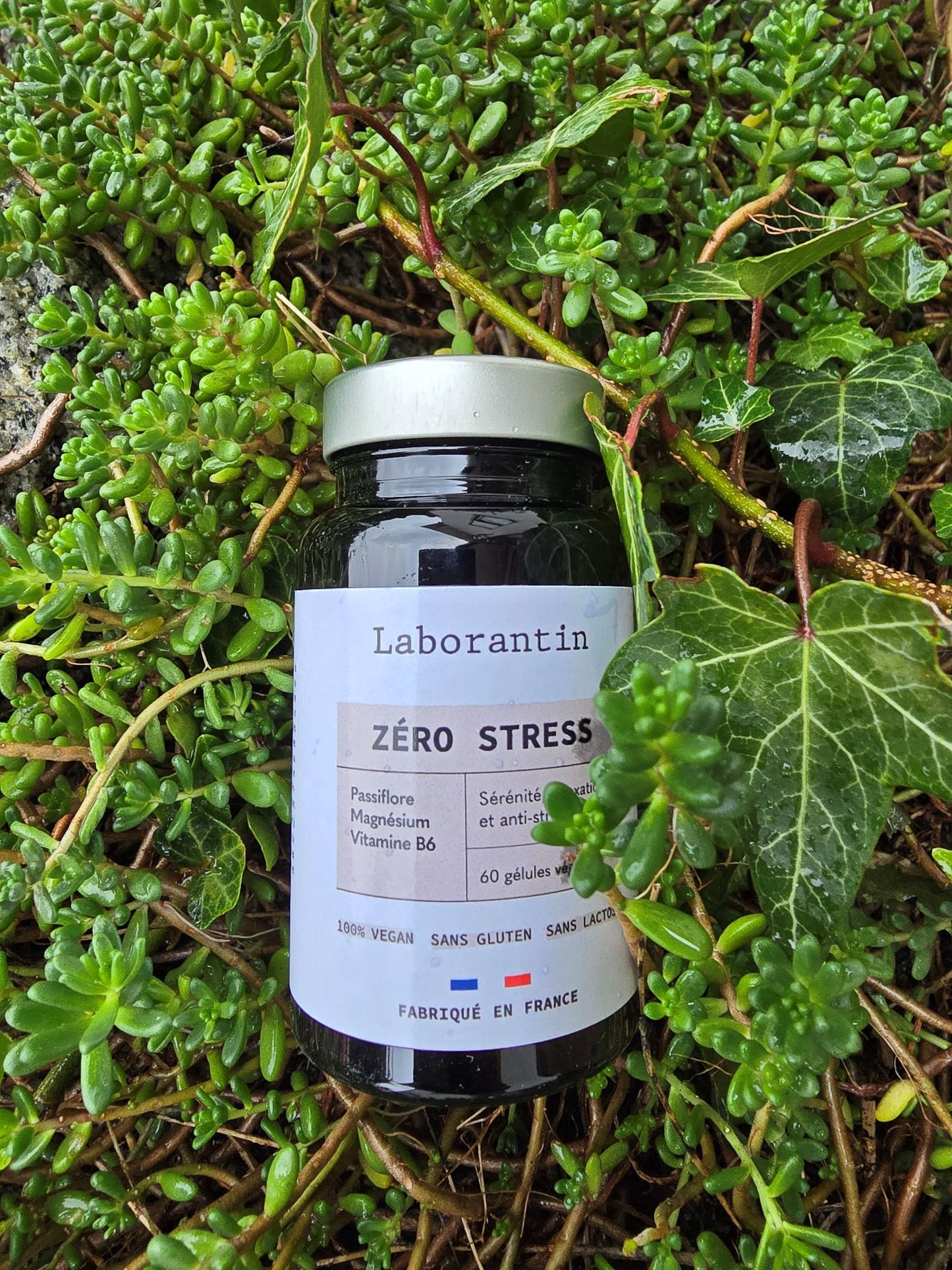 laborantin zero_stress_1