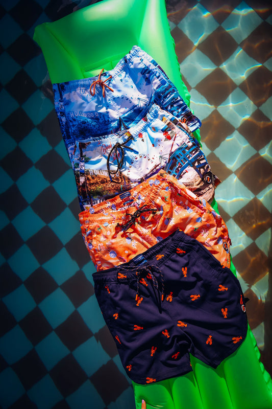 A Fish Named Fred Swimshort Humming Bird Sky Blue