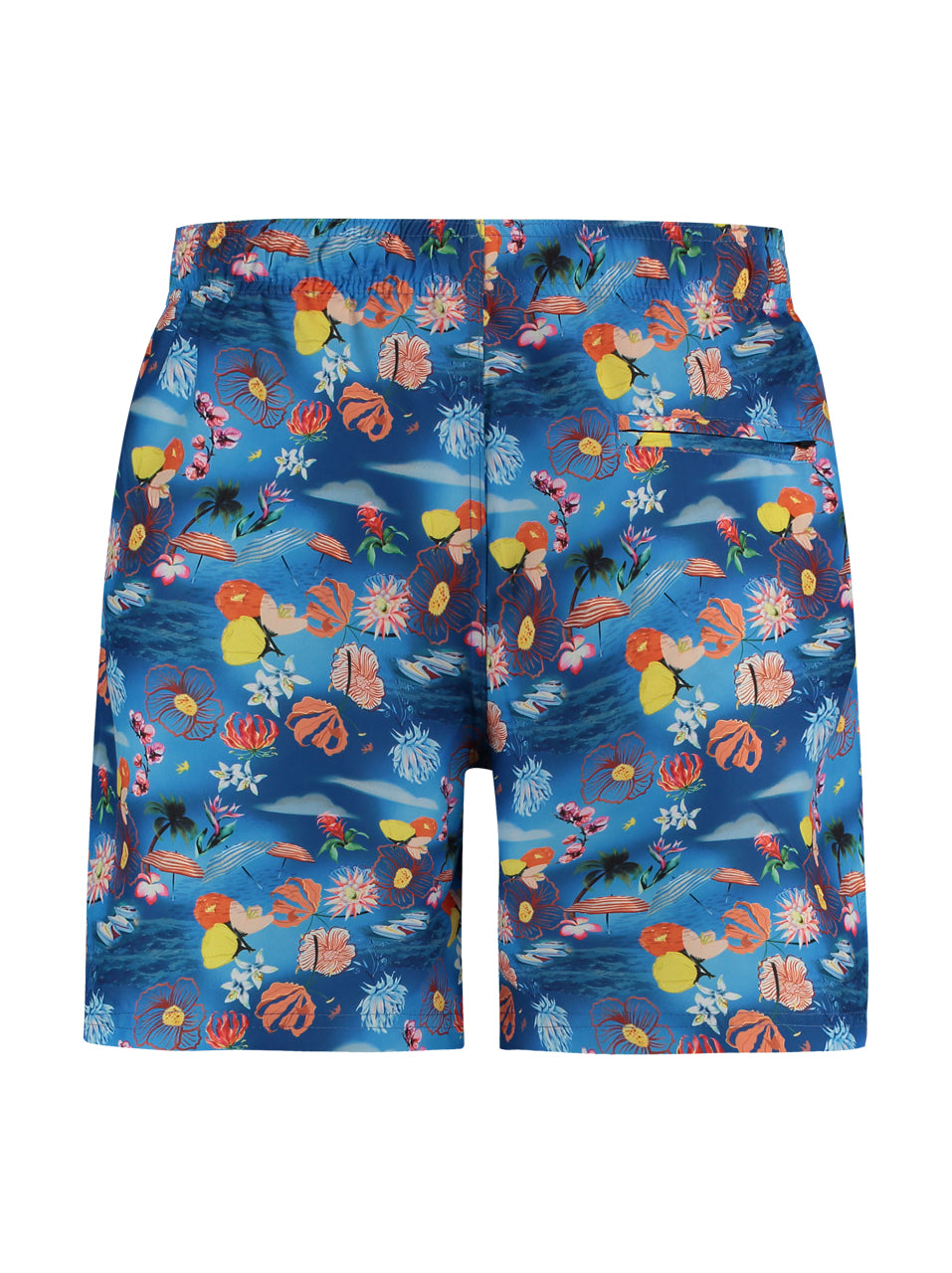 A Fish Named Fred Swimshort Tropical Set Cobalt