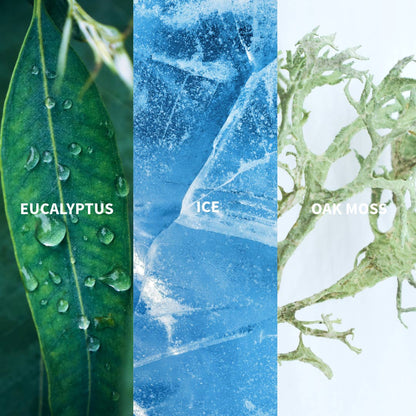 FiiLiT Ice Boreal Eau de Parfum 11 ml Nachfüllung