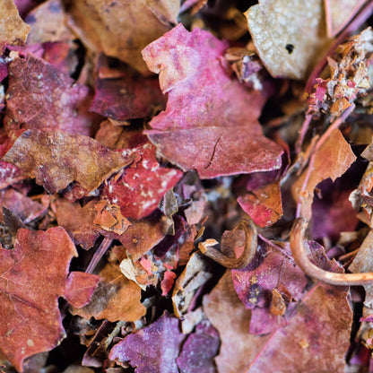 Vigne Rouge Bio-Aufguss – Le Comptoir d’Herboristerie